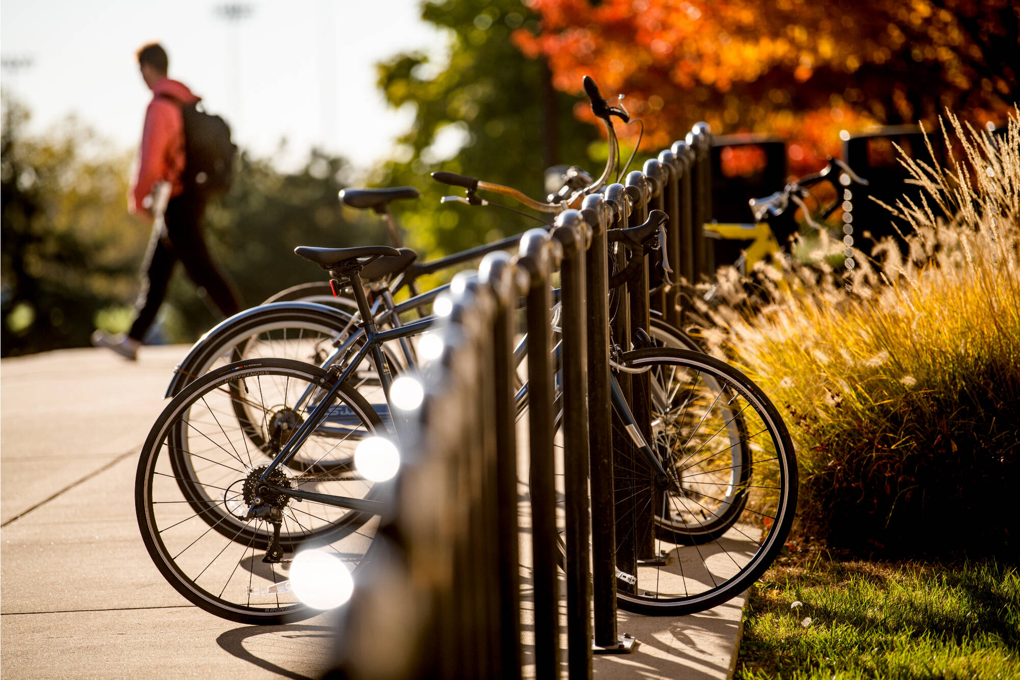 bikes in bike rack